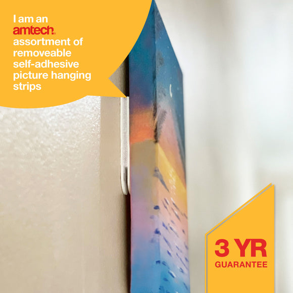 12pc ASSORTMENT OF REMOVEABLE SELF-ADHESIVE PICTURE HANGING STRIPS