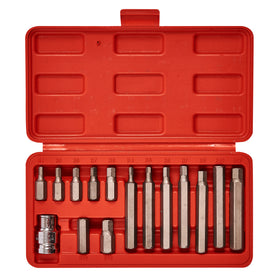 15pc HEX BIT & SOCKET SET