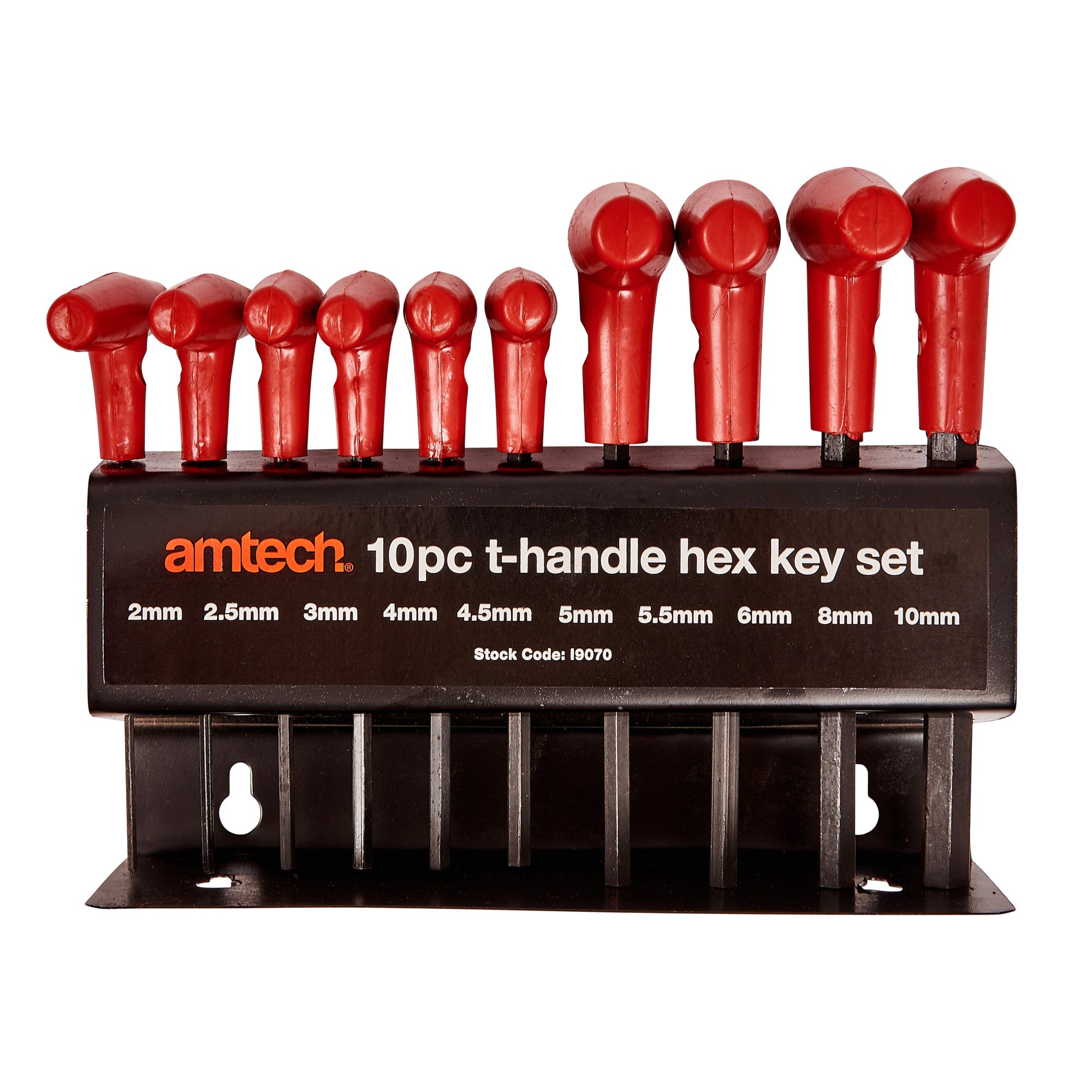 10pc T-HANDLE HEX KEY SET