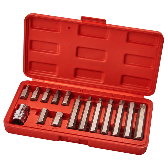 15pc HEX BIT & SOCKET SET