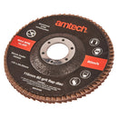 115mm FLAP DISC (60 GRIT)