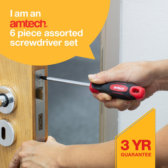 6pcs ASSORTED SCREWDRIVER SET (PZ+ SL)