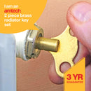 2pcs BRASS RADIATOR KEY SET