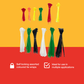 600pcs ASSORTED TIE WRAP SET
