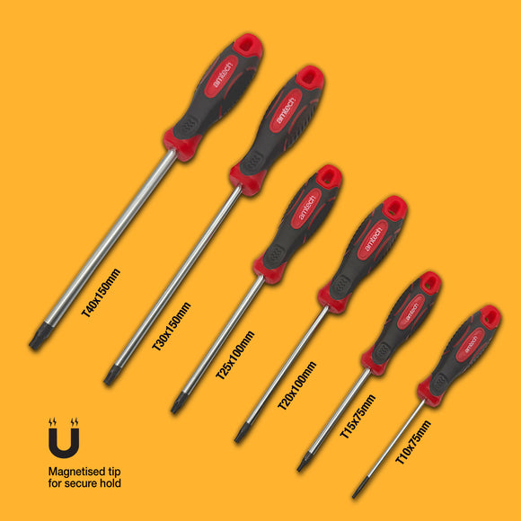 6pcs ASSORTED TORX SCREWDRIVER SET WITH SECURITY