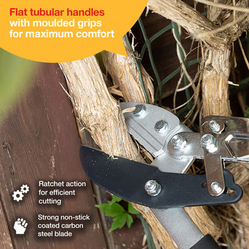 HEAVY DUTY RATCHET ANVIL LOPPER