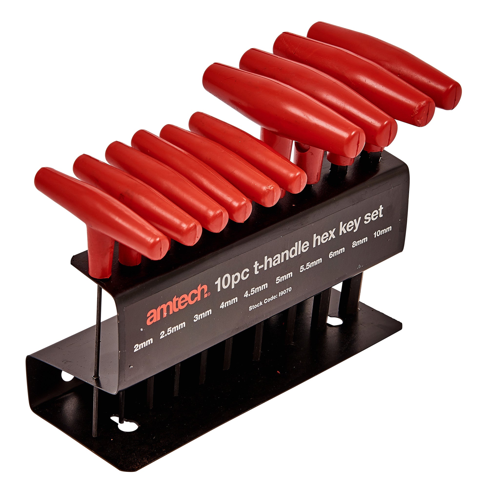 10pc T-HANDLE HEX KEY SET