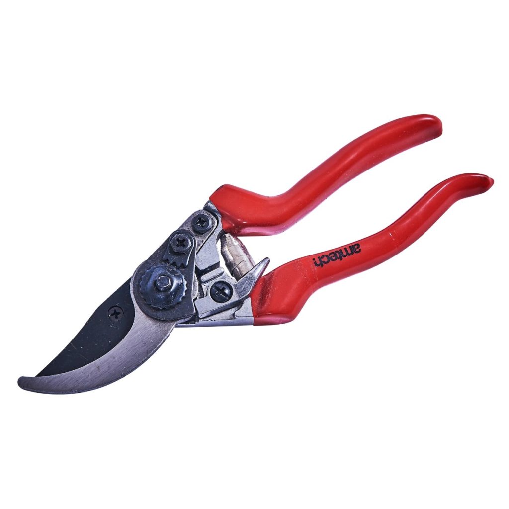 bypass pruner - Amtech