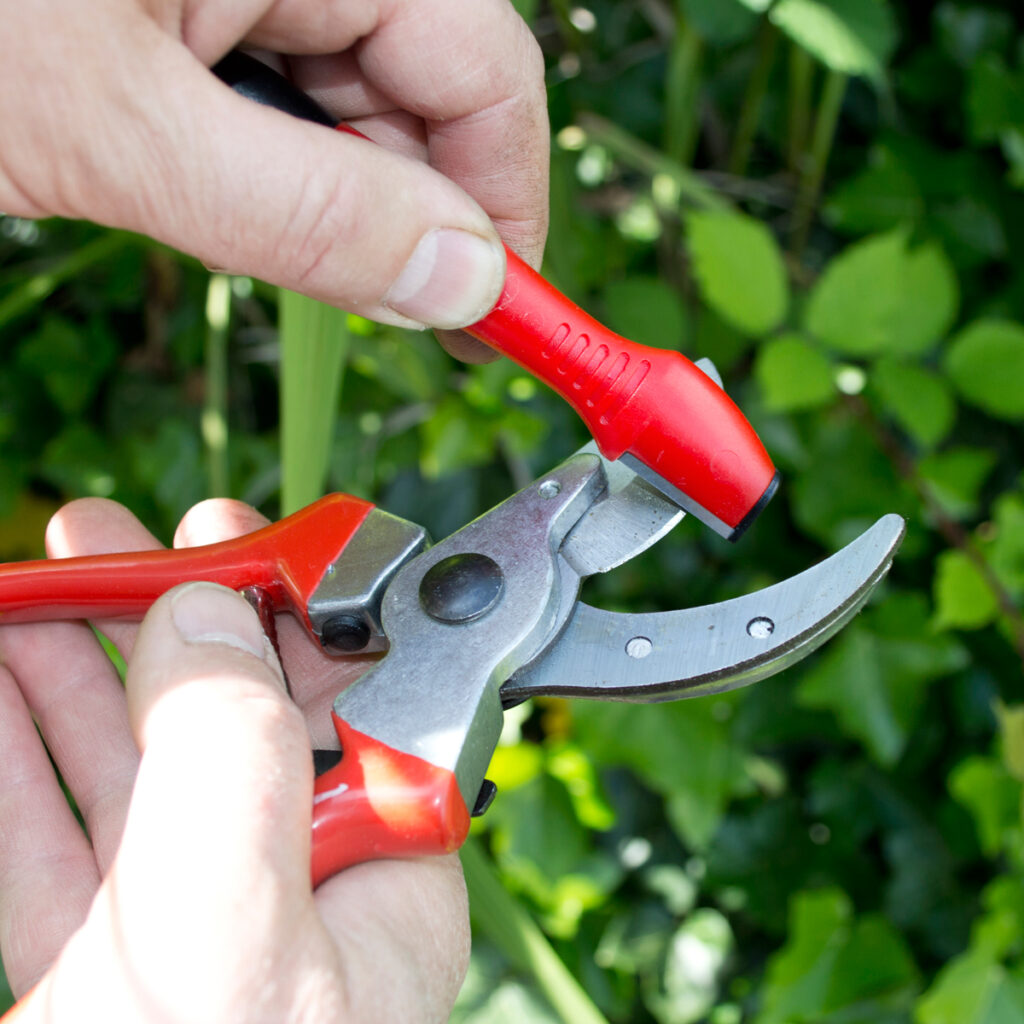 multi sharpener with oil - Amtech